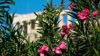 Αίθριος ο καιρός σήμερα 28/10 στις περισσότερες περιοχές - Που θα φτάσει η θερμοκρασία