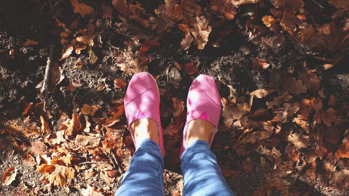 Κότσι: Ριζική λύση και μόνιμο αποτέλεσμα