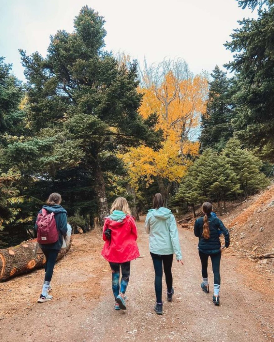 Εριέττα Κούρκουλου