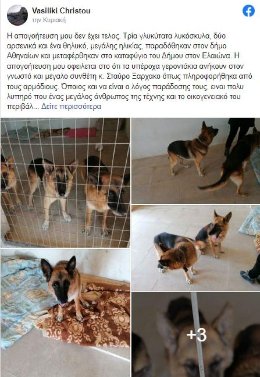 Σταύρος Ξαρχάκος σκυλιά