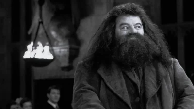 Θρήνος στον καλλιτεχνικό χώρο - Πέθανε ο Χάγκριντ του «Χάρι Πότερ»