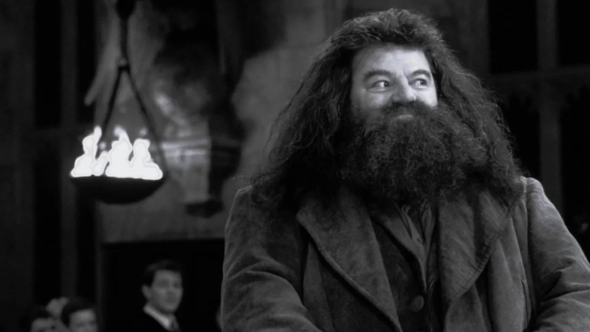 Θρήνος στον καλλιτεχνικό χώρο - Πέθανε ο Χάγκριντ του «Χάρι Πότερ»