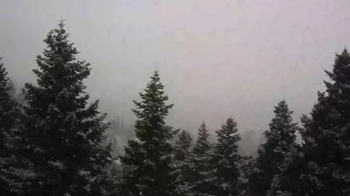 Ντύθηκε στα λευκά η Στερεά Ελλάδα - Οι πρώτες εικόνες από το παγωμένο τοπίο στην Ευρυτανία και την Φθιώτιδα