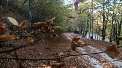 Πέφτει η θερμοκρασία - Που θα σημειωθούν μεμονωμένες καταιγίδες;