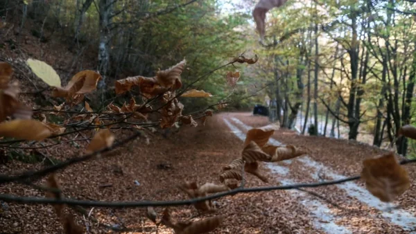 Πέφτει η θερμοκρασία - Που θα σημειωθούν μεμονωμένες καταιγίδες;