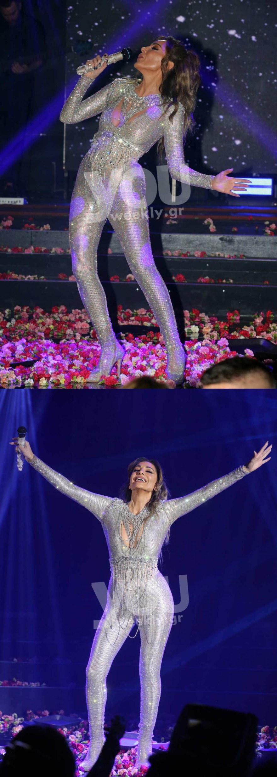 Δέσποινα Βανδή με δημιουργία της Celia Kritharioti