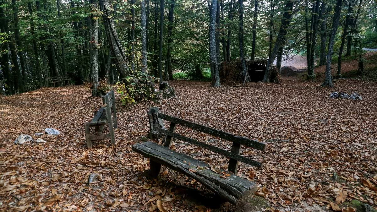 Γενικά αίθριος ο καιρός σήμερα 9/11 - Που θα φτάσει το θερμόμετρο