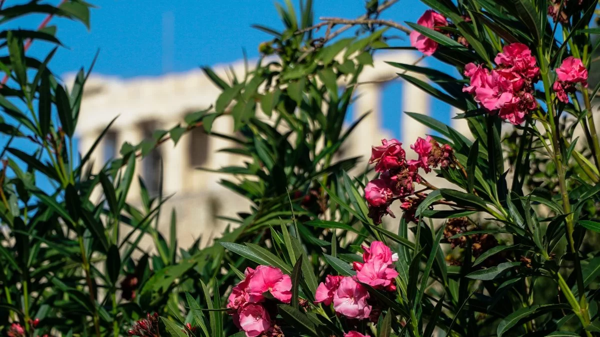 Καιρός σήμερα 1/11: Με λίγα μποφόρ το Αιγαίο - Που θα φτάσει η θερμοκρασία