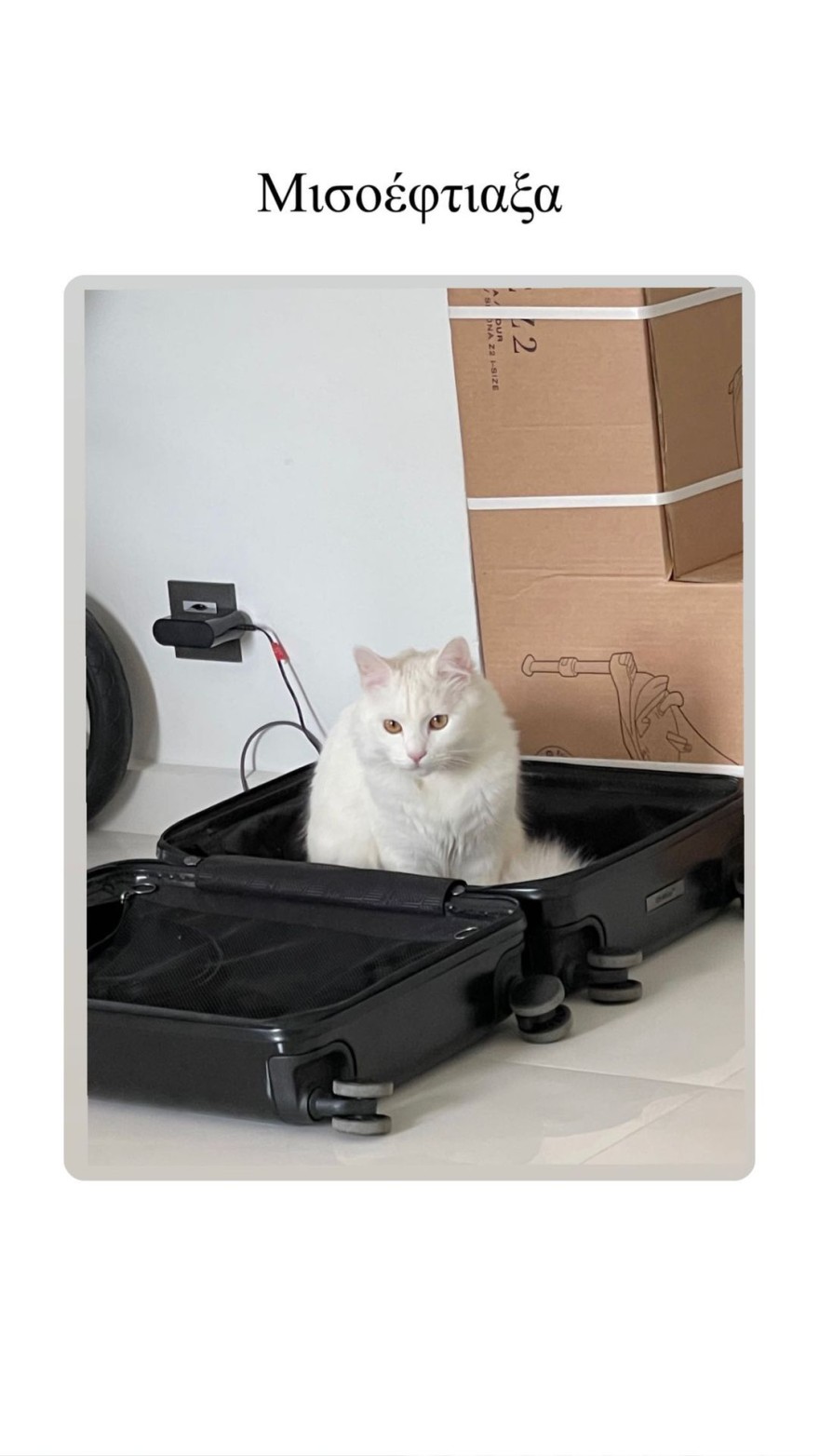 Μαίρη Συνατσάκη φύλο μωρού