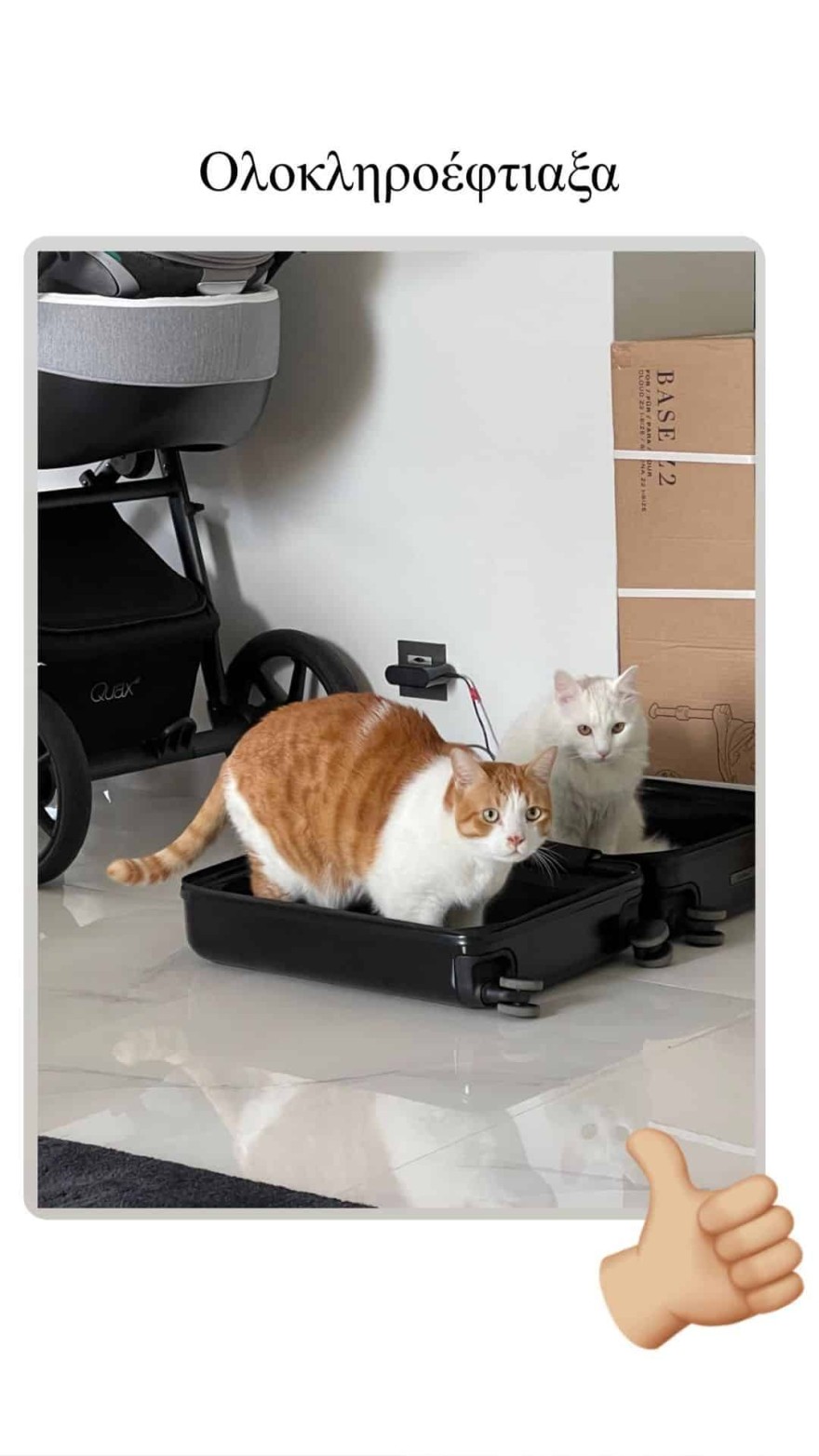 Μαίρη Συνατσάκη Ίαν Στρατής