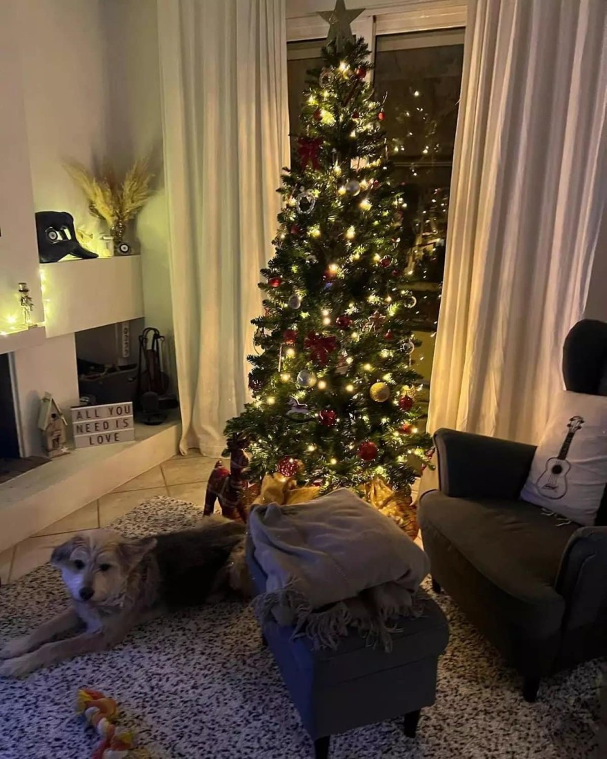 Δανάη Μιχαλάκη Γιώργος Παπαγεωργίου δέντρο