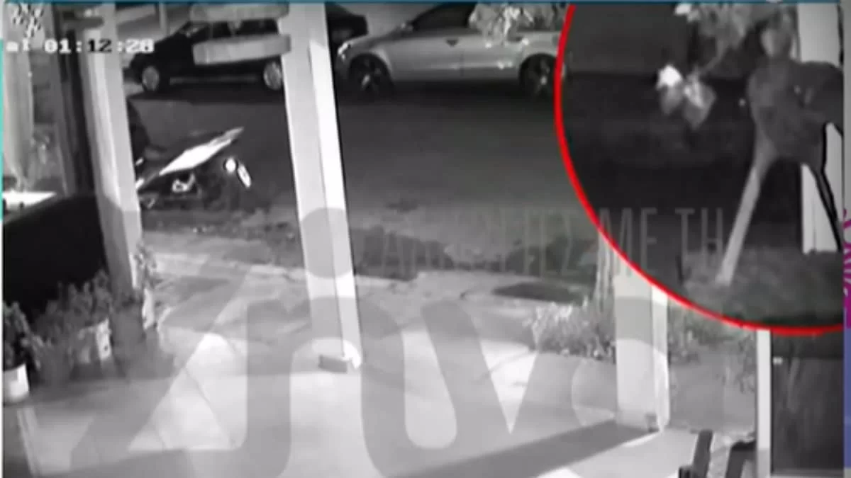 Βίντεο ντοκουμέντο: Η στιγμή του άγριου ξυλοδαρμού της βαφτιστήρας του Τριαντάφυλλου