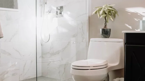 Κάνε την λεκάνη σου να αστράφτει με μυλόξυδο και... - Το απόλυτο κόλπο για ένα καθαρό μπάνιο τα Χριστούγεννα