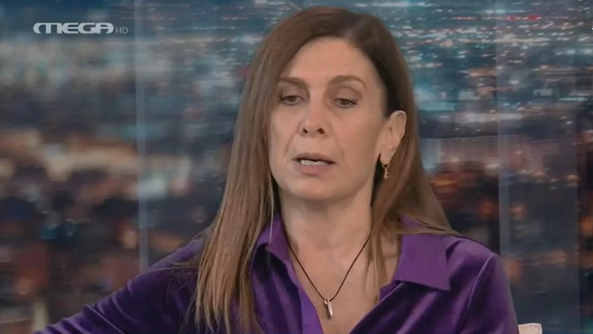 «Το θεωρώ απαράδεκτο! Σαν δήλωση το θεωρώ γελοίο» - Εξερράγη στον αέρα του MEGA η Κατερίνα Διδασκάλου