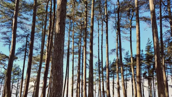 Καιρός (25/12): Ανεβαίνει η θερμοκρασία τα Χριστούγεννα - Κατά τόπους παγετός