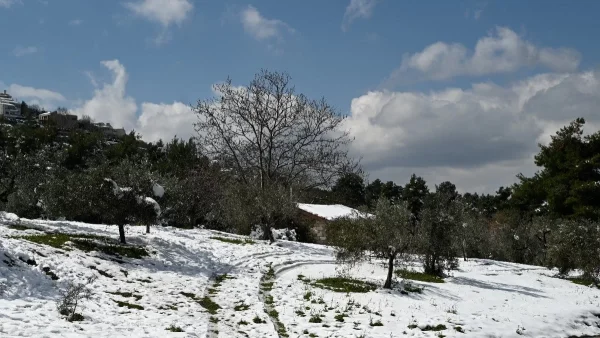 Καιρός: Έρχεται η «πολική μπάλα» - Θα ντυθεί στα λευκά η Ελλάδα!