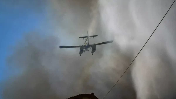 Φωτιά στον Ορχομενό