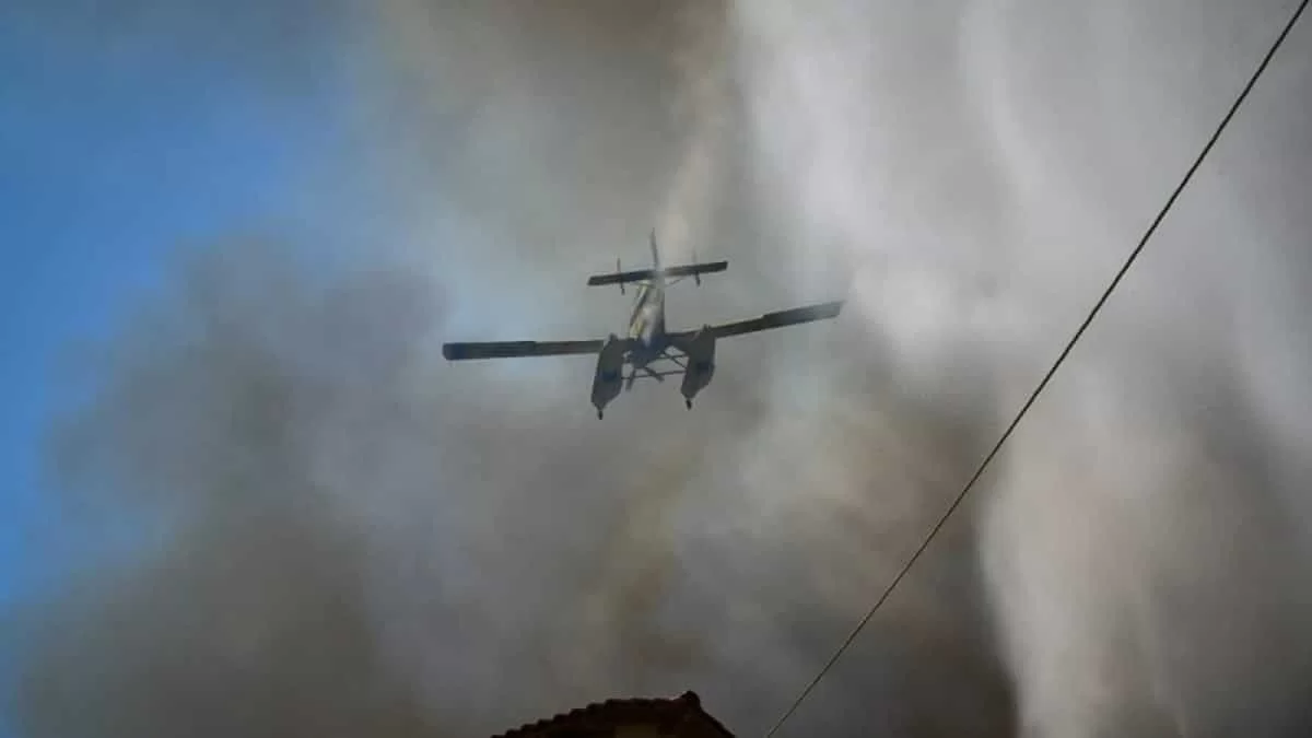 Φωτιά στον Ορχομενό