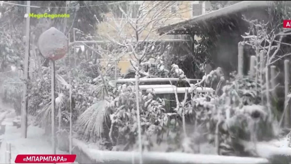 Κακοκαιρία "Μπάρμπαρα": Κλειστά τα σχολεία από Δευτέρα - Τι θα γίνει με τα μαθήματα