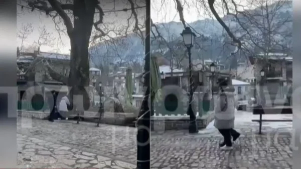 Βίντεο ντοκουμέντο από την Αράχωβα - Πως συμπεριφέρεται ο Φιντιρίκος στην Δαλάκα