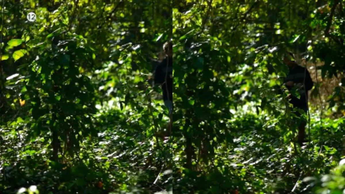 Survivor all star - αποκάλυψη ''βόμβα'': Μετά τη Δαλάκα & την Ασημίνα, ο νέος παίκτης που χάνεται στη ζούγκλα