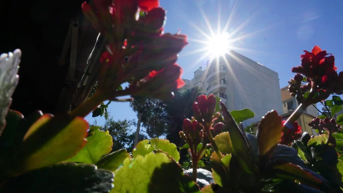 Αίθριος ο καιρός σήμερα 22/2 - Ήλιος και ζέστη