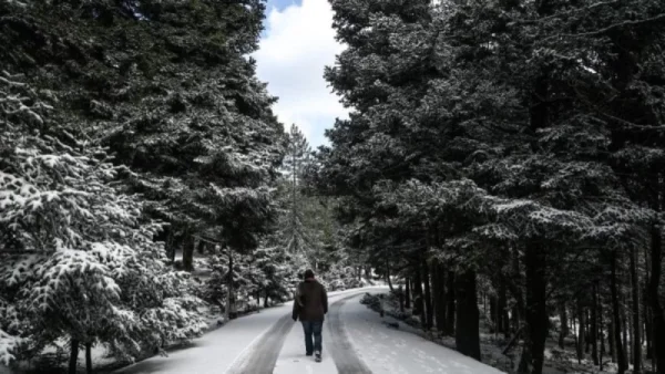 Καιρός (8/2): Παγετός! Χαμηλές θερμοκρασίες και πολλά μποφόρ - Ποιες περιοχές θα "πληγούν"