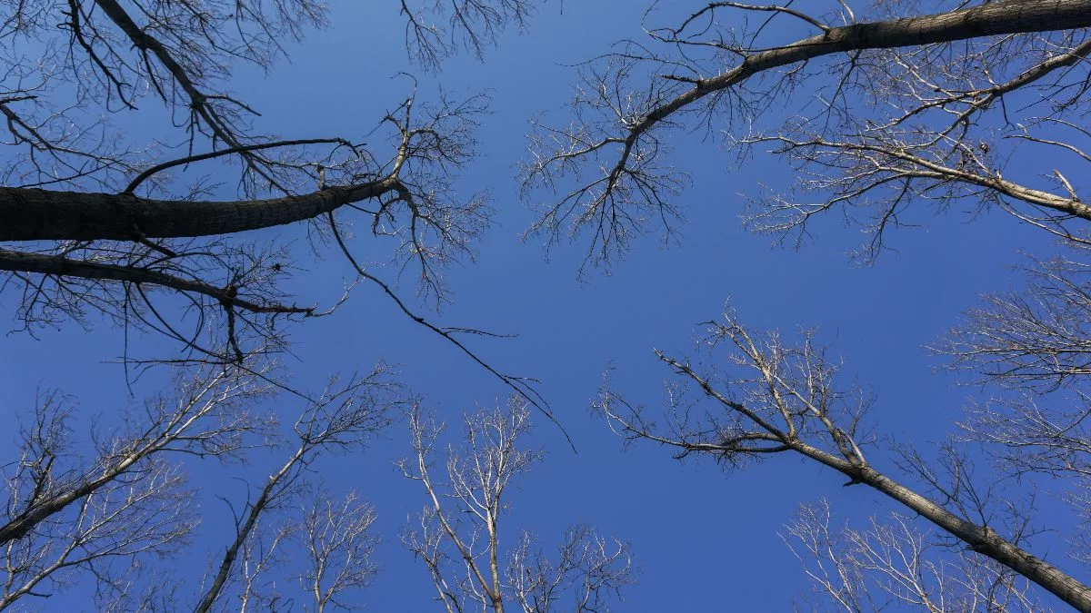Υψηλές θερμοκρασίες και αυξημένη υγρασία - Ο καιρός σήμερα 28/2