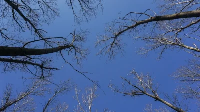 Χαλάει από σήμερα 26/2 ο καιρός - Τοπικές βροχές και καταιγίδες