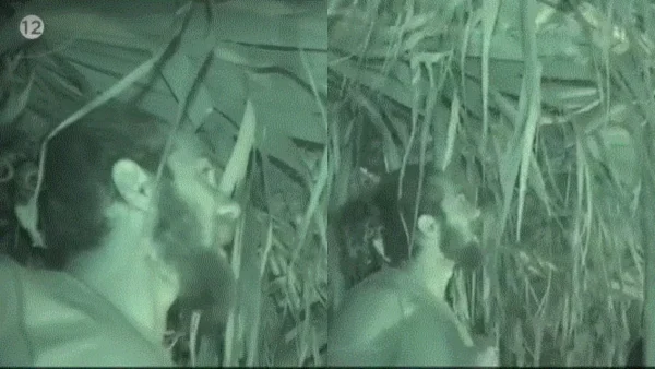 Survivor All Star: «Ποιος ψηφίζει να το φάμε;» - Ο νόστιμος "επισκέπτης" στην καλύβα των Διασήμων