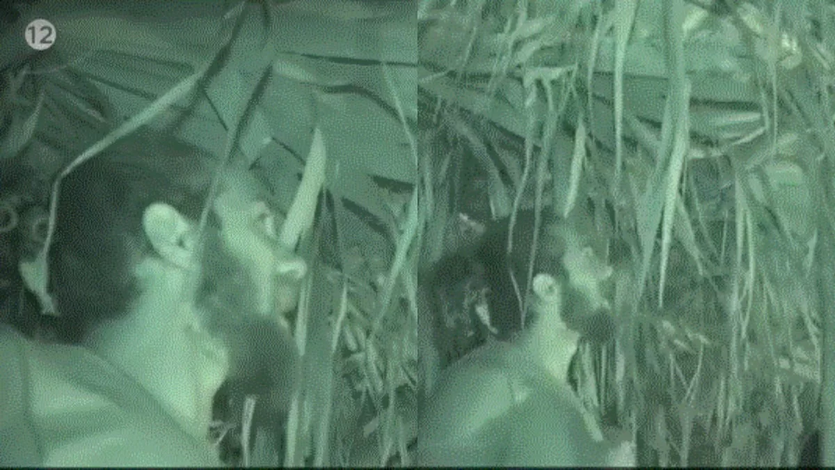 Survivor All Star: «Ποιος ψηφίζει να το φάμε;» - Ο νόστιμος "επισκέπτης" στην καλύβα των Διασήμων