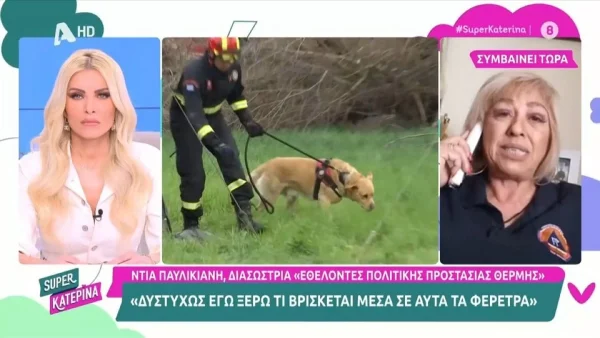 Τέμπη: «Έπαιρνα τα κομμάτια, τα τοποθετούσαμε σε σακούλες και...» - Ανατριχιάζει η περιγραφή διασώστριας για τα πτώματα ων θυμάτων