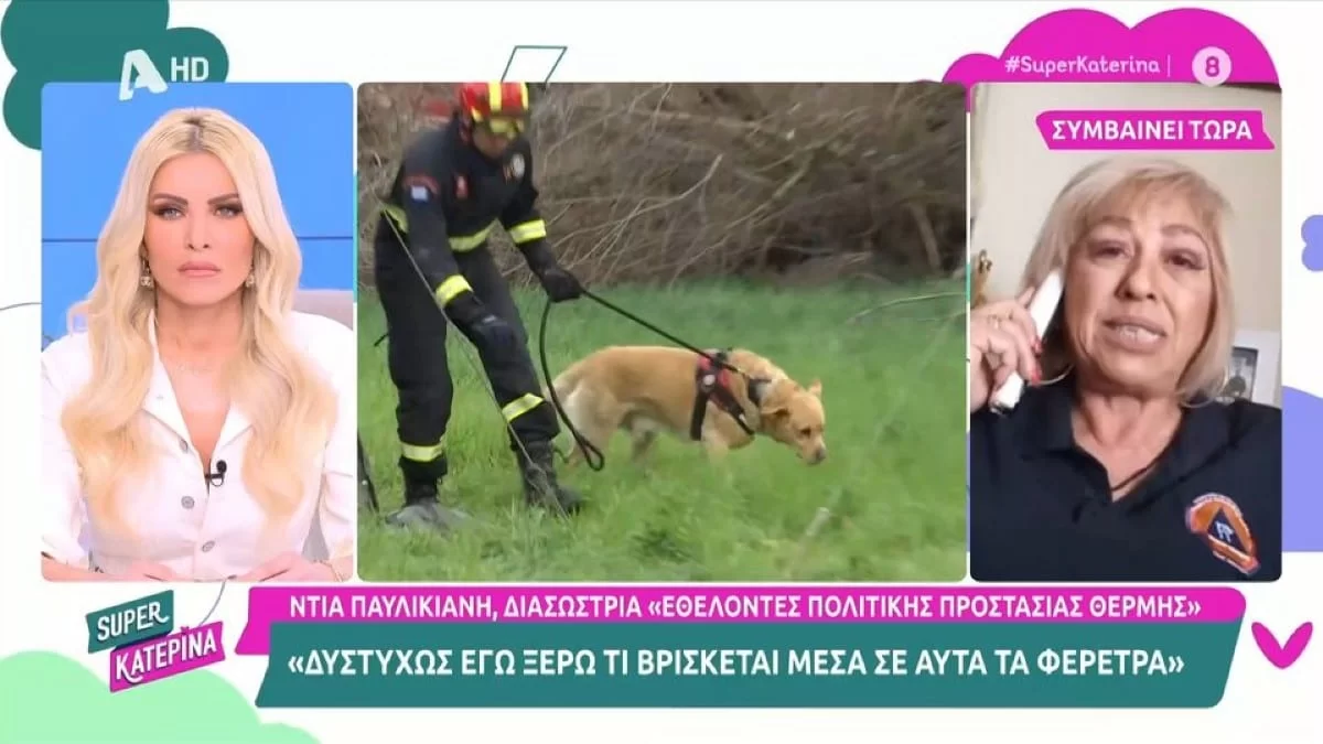 Τέμπη: «Έπαιρνα τα κομμάτια, τα τοποθετούσαμε σε σακούλες και...» - Ανατριχιάζει η περιγραφή διασώστριας για τα πτώματα ων θυμάτων