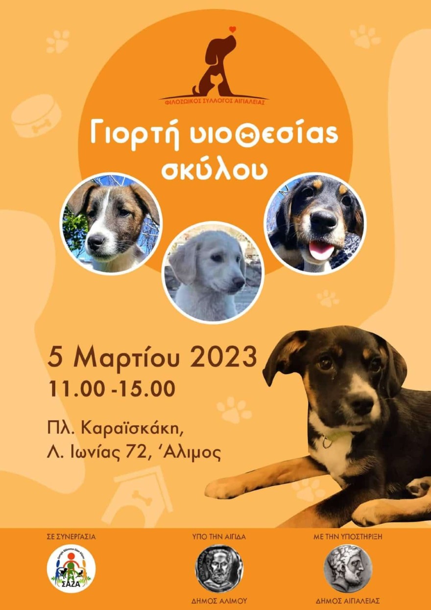 Γιορτή υιοθεσίας σκύλου: Που και πότε θα πραγματοποιηθεί