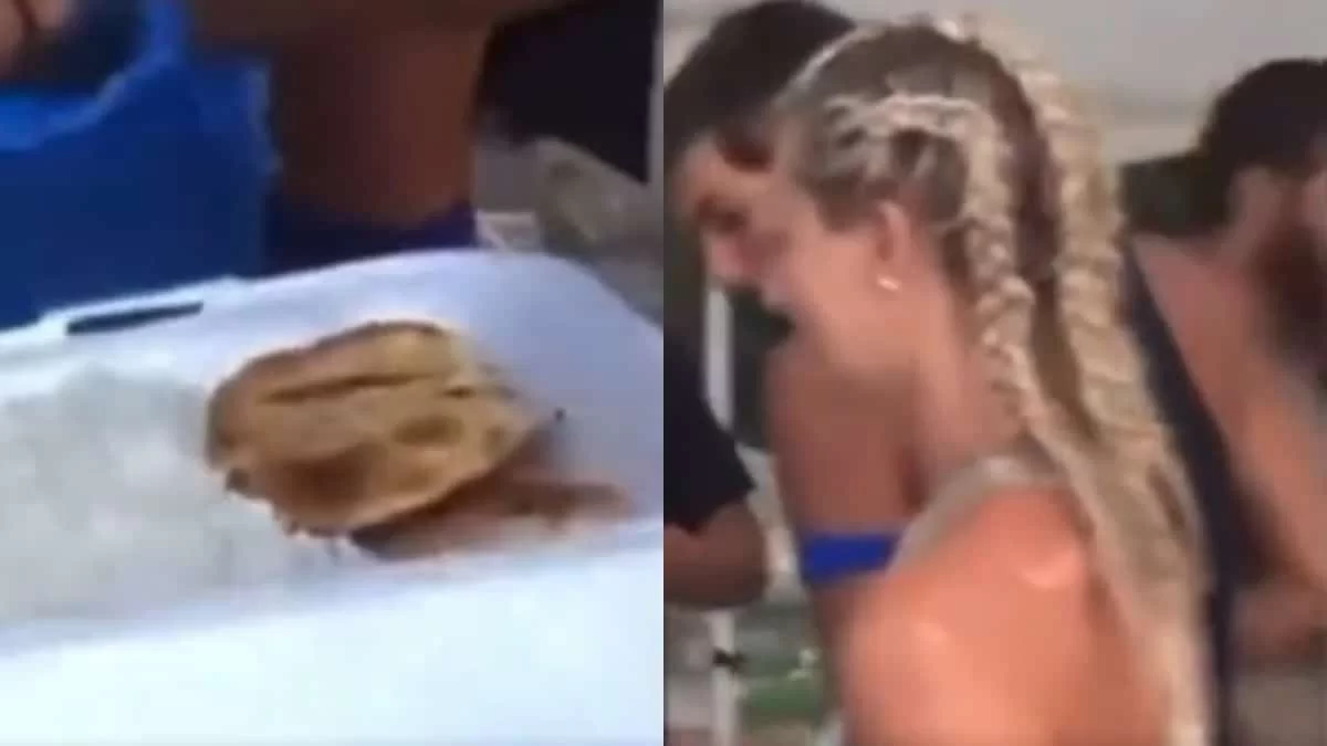 Survivor all Star: Βίντεο ντοκουμέντο από τσιμπούσι παικτών - Τρώνε μερίδες με κρέατα και υδατάνθρακα