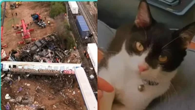 Τέμπη: «Η πλατούλα του είναι...» - Βγήκε από το νοσοκομείο και ψάχνει τον γάτο της