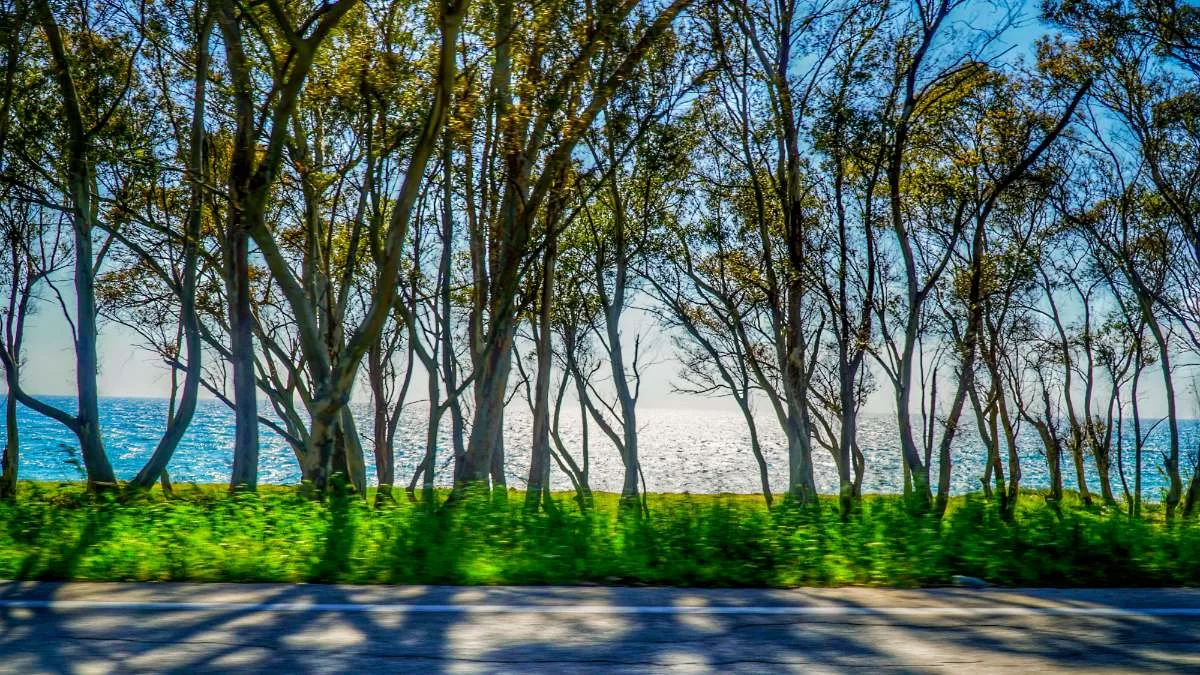 Καιρός Μ. Τετάρτη 12/4: Βελτιωμένος με τοπικές βροχές - Που θα φτάσει η θερμοκρασία