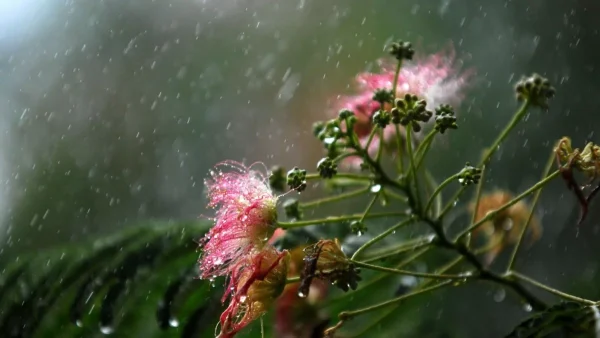Επιδείνωση του καιρού (3/4) με ισχυρές βροχές και καταιγίδες - Που θα είναι έντομα τα φαινόμενα