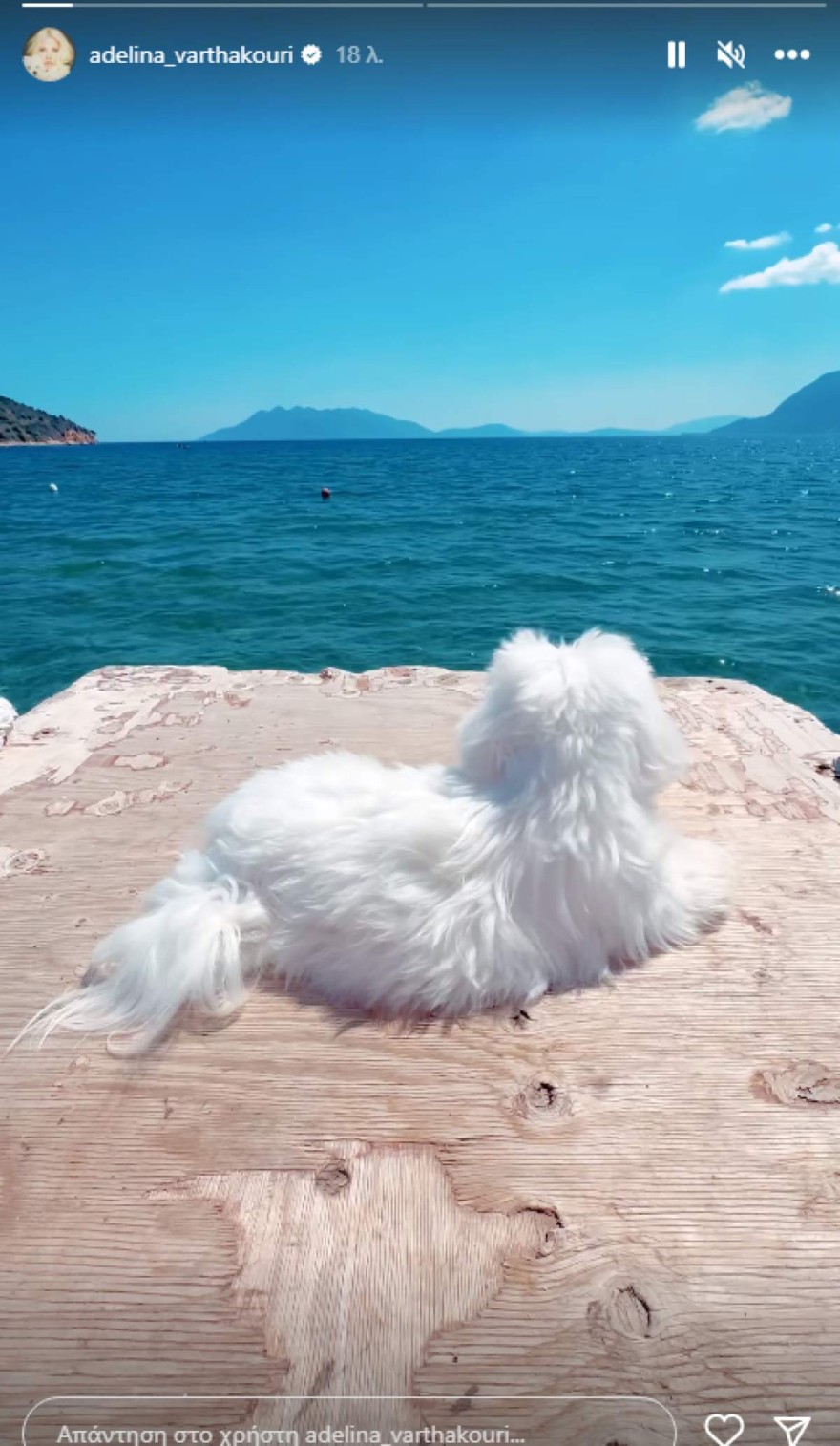 Aντελίνα Βαρθακούρη