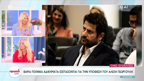 «Δεν έχει να κάνει με το αν είναι όμορφος! Το θεωρώ πολύ άστοχο να...» - Πυρ και μανία η Σκορδά για την υπόθεση Γεωργούλη