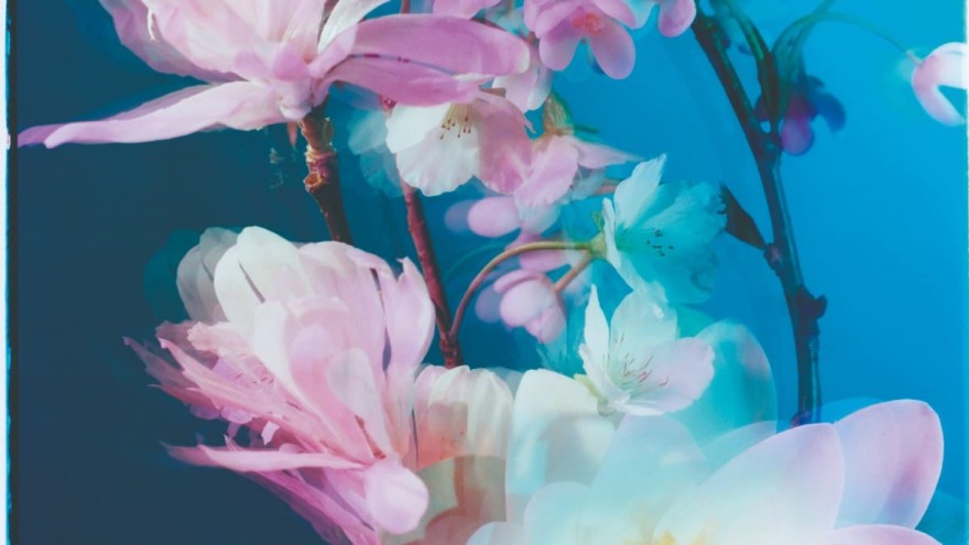 Η συλλεκτική σειρά αρωμάτων της Jo Malone εμπνέεται από την Κίνα