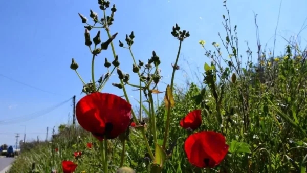 Η θερμοκρασία θα σημειώσει μικρή πτώση - Πως θα είναι ο καιρός σήμερα 2/4