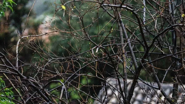 Έντονα καιρικά φαινόμενα τις επόμενες δύο μέρες - Δεν λέει να υποχωρήσει η κακοκαιρία