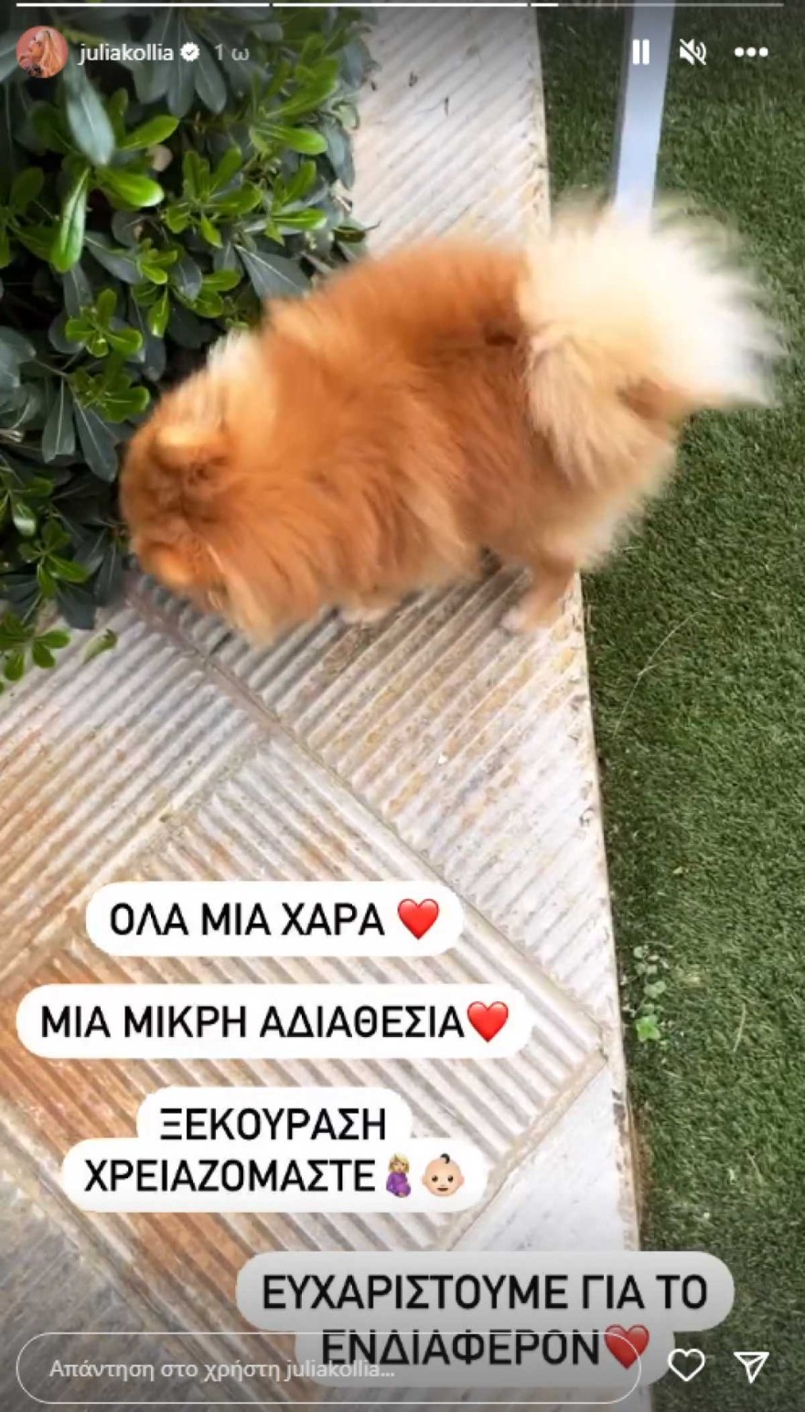 Τζούλια Κόλλια μετά το νοσοκομείο