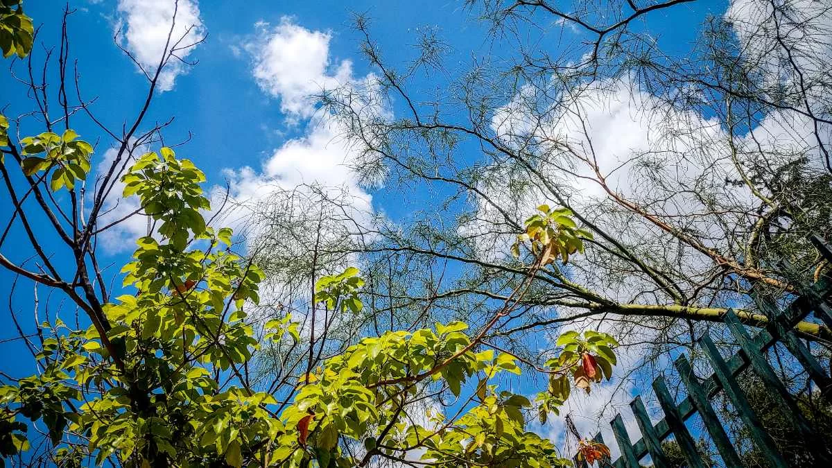 Τα Μερομήνια έκαναν την πρόβλεψή τους - Τι καιρό θα κάνει το τριήμερο του Αγίου Πνεύματος