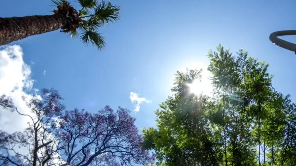 Ο καιρός σήμερα Τρίτη 30/5 - Που θα βρέξει;
