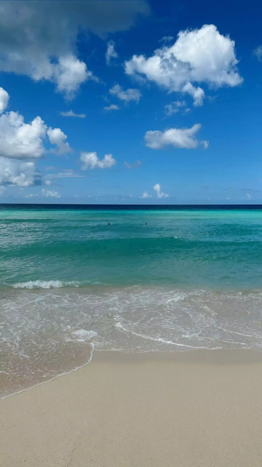 Αλεξάνδρα Εξαρχοπούλου Survivor All Star Ηλίας Μπόγδανος