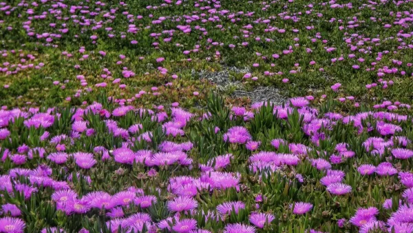 Με τι καιρό θα κάνουμε Πρωτομαγιά - Που θα σημειωθούν βροχές και καταιγίδες