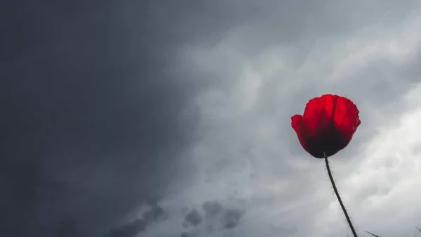 Καιρός 4/5: Συνεχίζονται οι καταιγίδες σε μεγάλο μέρος της Ελλάδας - Που θα είναι ισχυρά τα φαινόμενα