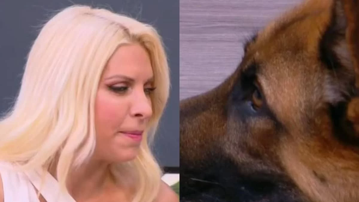 «Με κοιτάζει στα μάτια! Τα έχασα δεν με είχες προετοιμάσει» - Τρομοκρατήθηκε η Ελένη Μενεγάκη με τον σκύλο του Γιώργου Παπακώστα